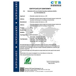 CTB150518001C-電機(jī)-ROHS證書